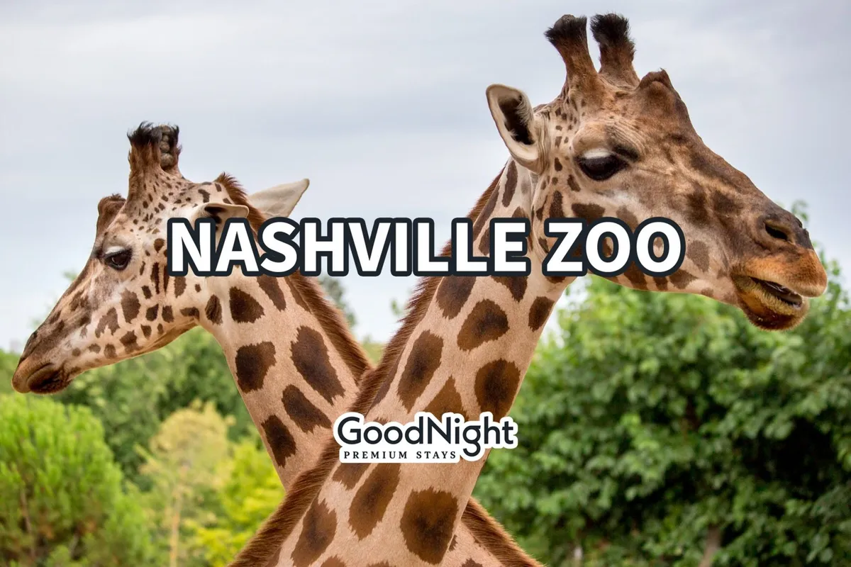 This image features two giraffes set against lush greenery, representing the wildlife and family-friendly excitement found at the Nashville Zoo. The vibrant outdoor setting captures the joyful atmosphere of a day out with children.